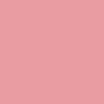 2 - ROSE