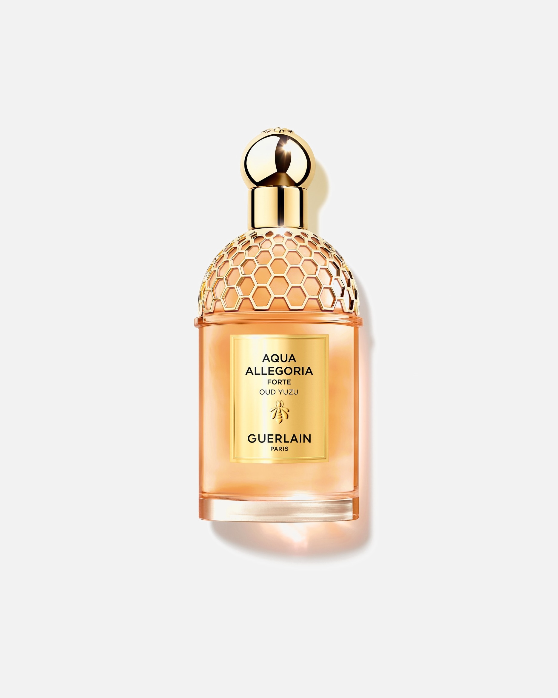 Perfume para Mujer Guerlain Aqua Allegoria Forte Oud Yuzu 125 ml