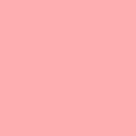 02 - Pink Rose