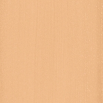 L5 - FIJI