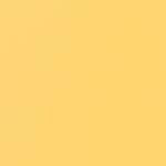 DAFFODIL + BUTTERCUP
