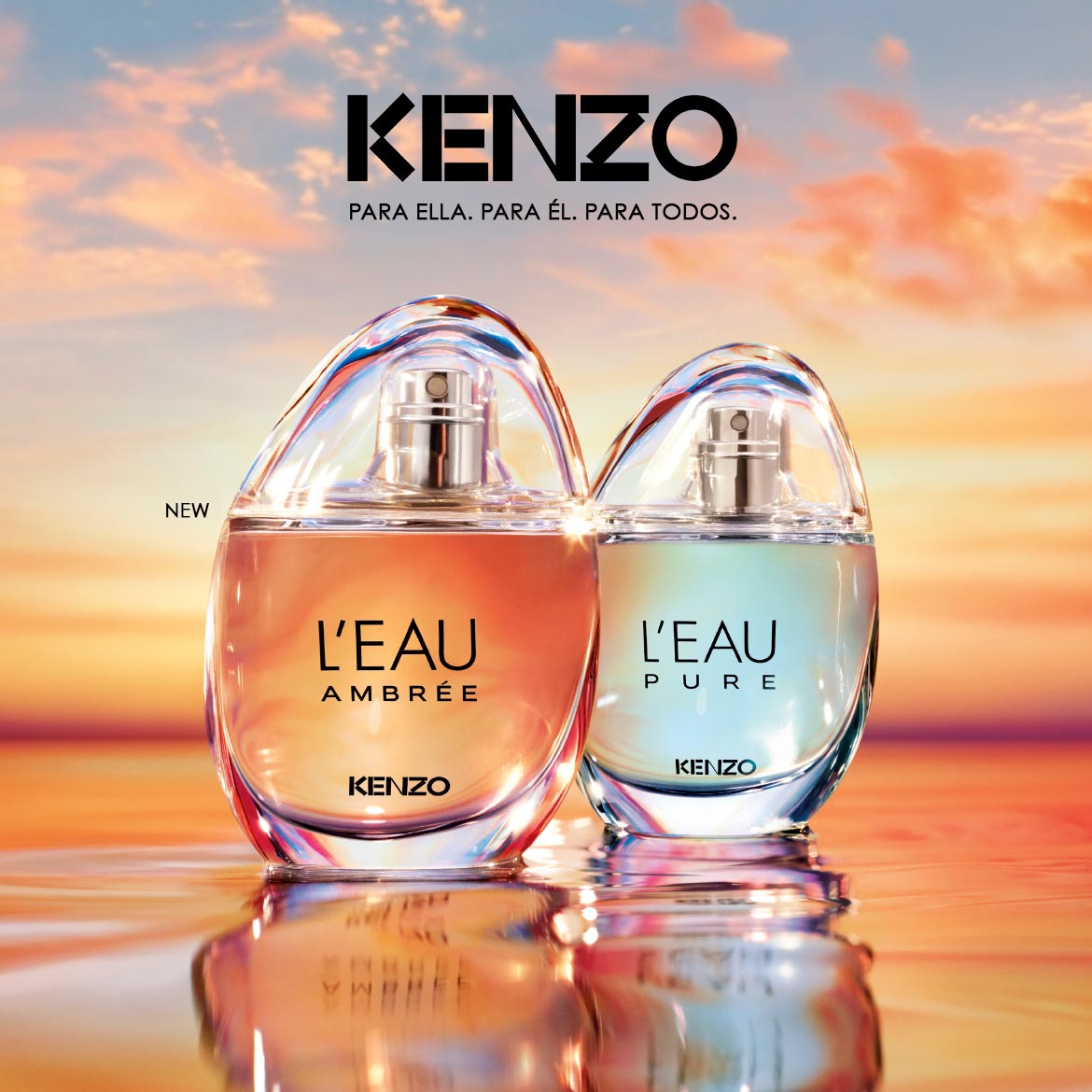 Kenzo_L'Eau_Ambree_DOUGLAS_Brand_Highlight_Teaser_1170x1170.jpg