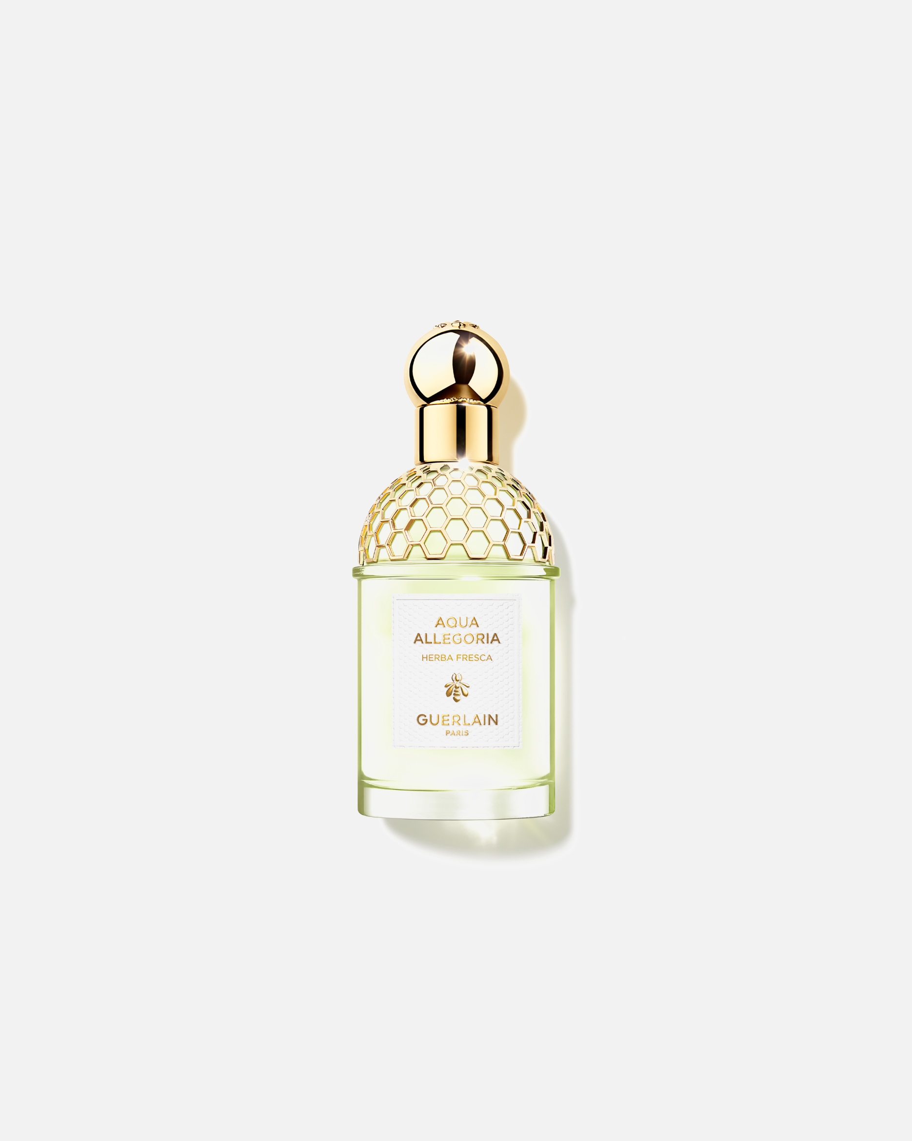 Eau de toilette para Mujer Guerlain Aqua Allegoria Herba Fresca 75 ml