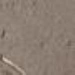03 Medium Brown