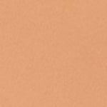 BISQUE NEUTRAL 048