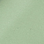 24 - Green