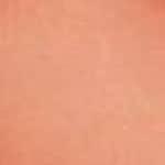 7B - Nude Pleasure