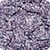 320 Lavender Frost