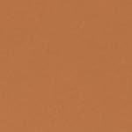SUEDE NEUTRAL 13