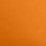 12 - CINNAMON