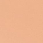 250 - BISQUE BEIGE