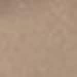 02 Light Brown