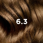 6.3 Dark Golden Blonde