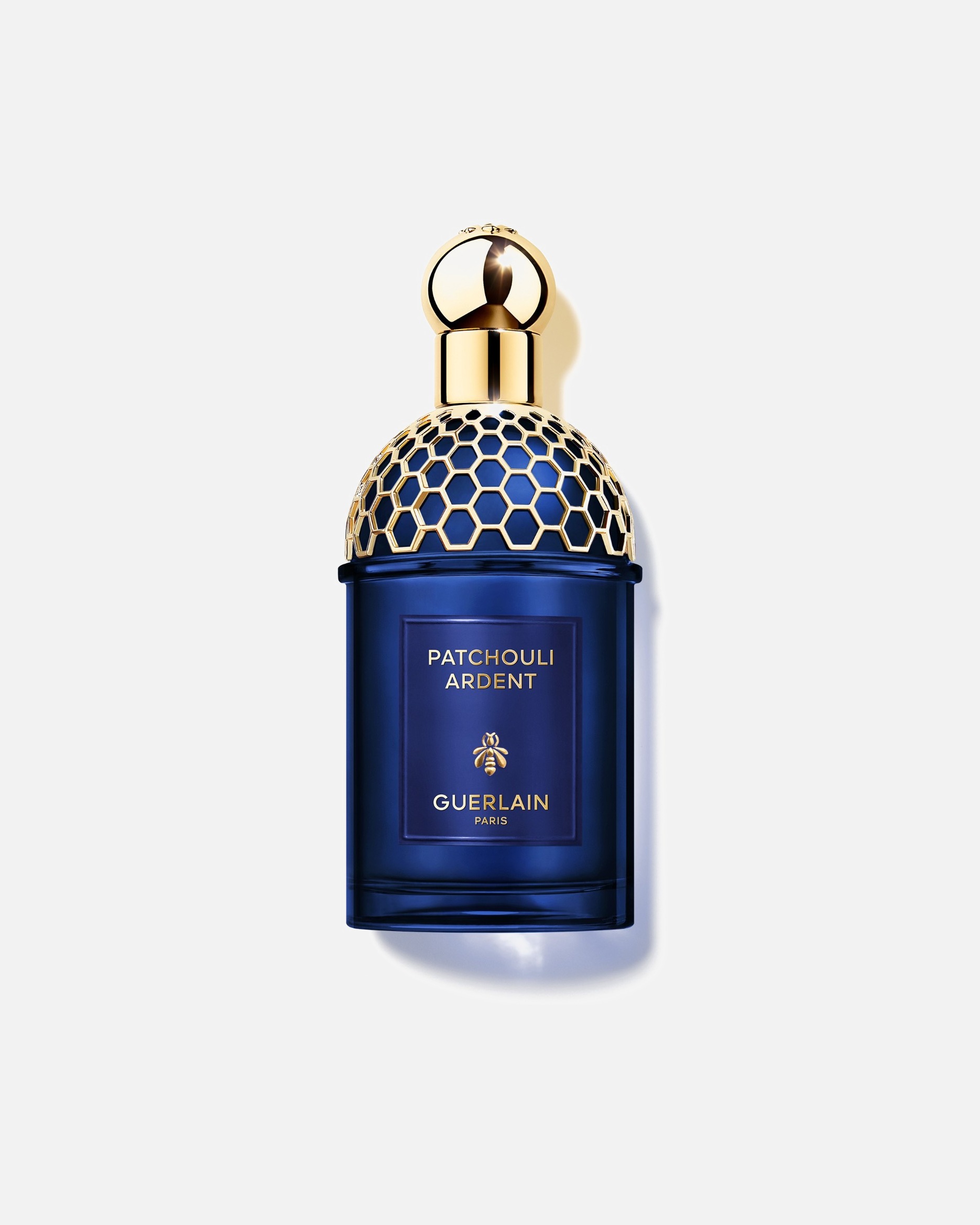 Perfume para Unisex Guerlain Absolus Allegoria Patchouli Ardent 125 ml