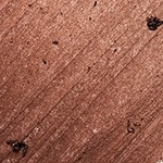 Metalic Cocoa