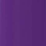 07 - Confident Purple