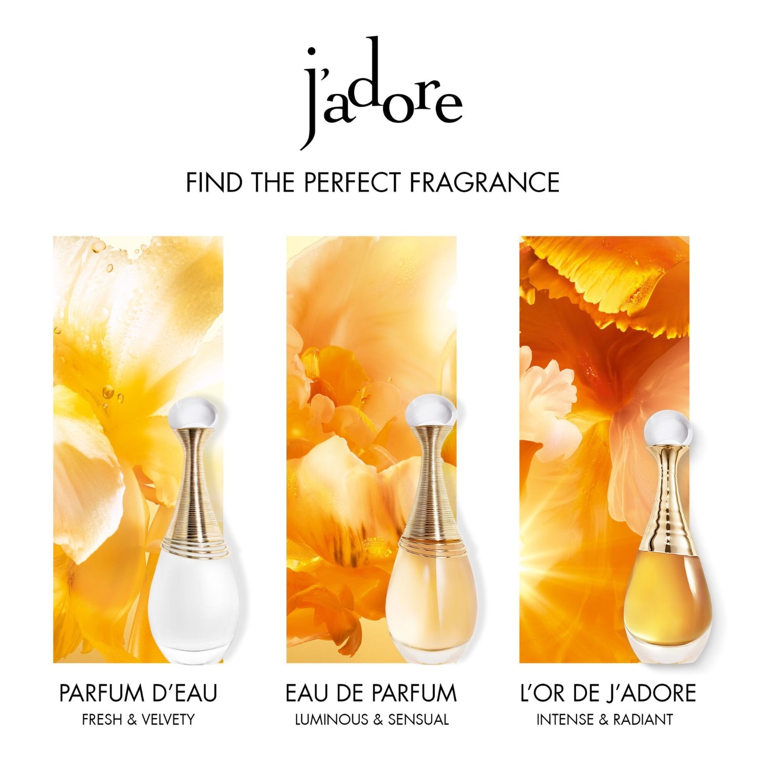 150 Ml Perfume Jadore De Christian Dior Para Mujer Descubre Dior J