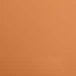 09 - CAFFE LATTE